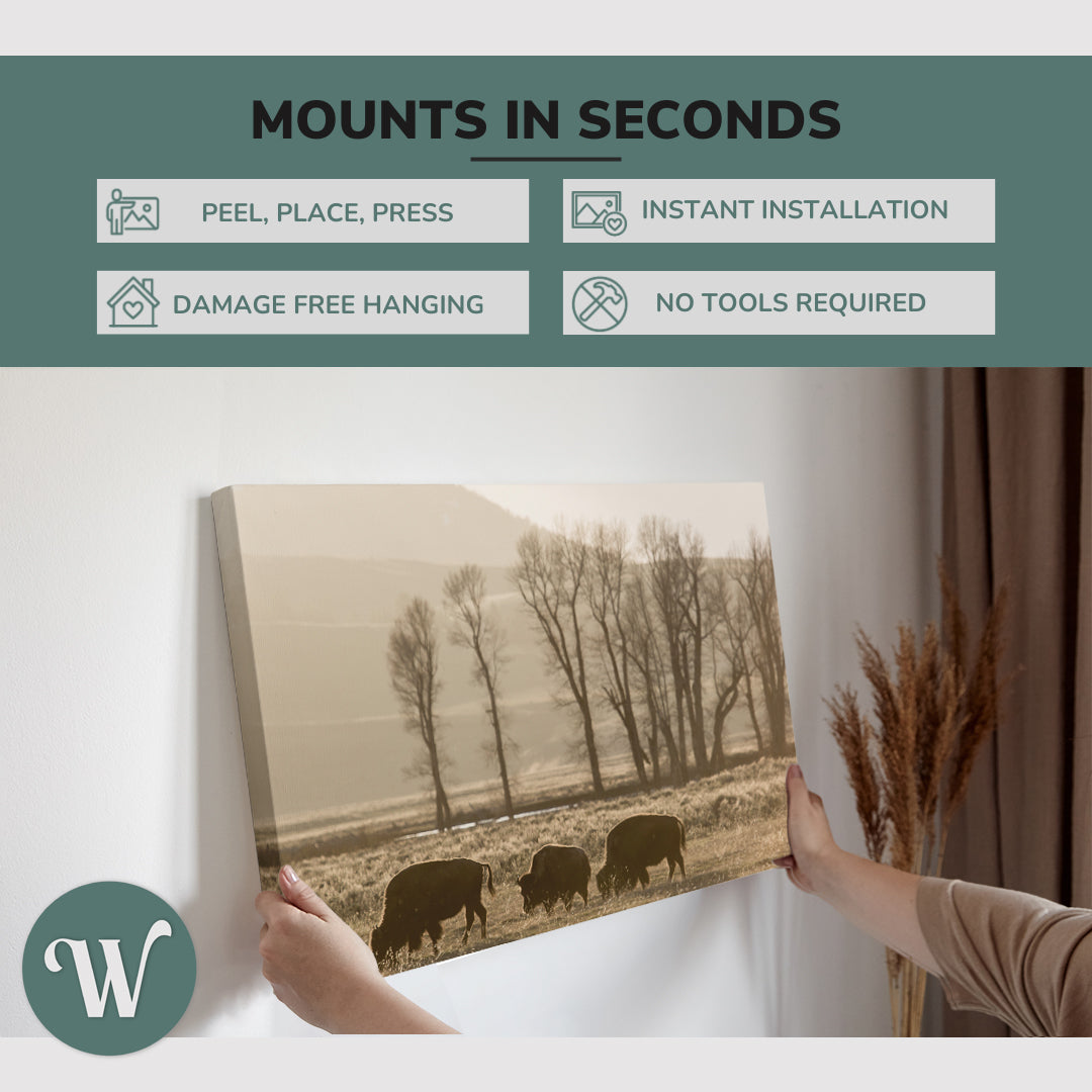 Black and White Wild Buffalo Photography - Canvas Print Wall Art Décor Whelhung