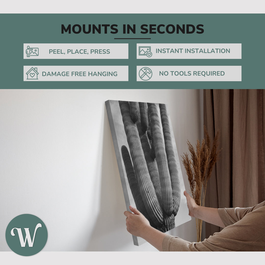 Black and White Saguaro Cactus Photography - Canvas Print Wall Art Décor Whelhung