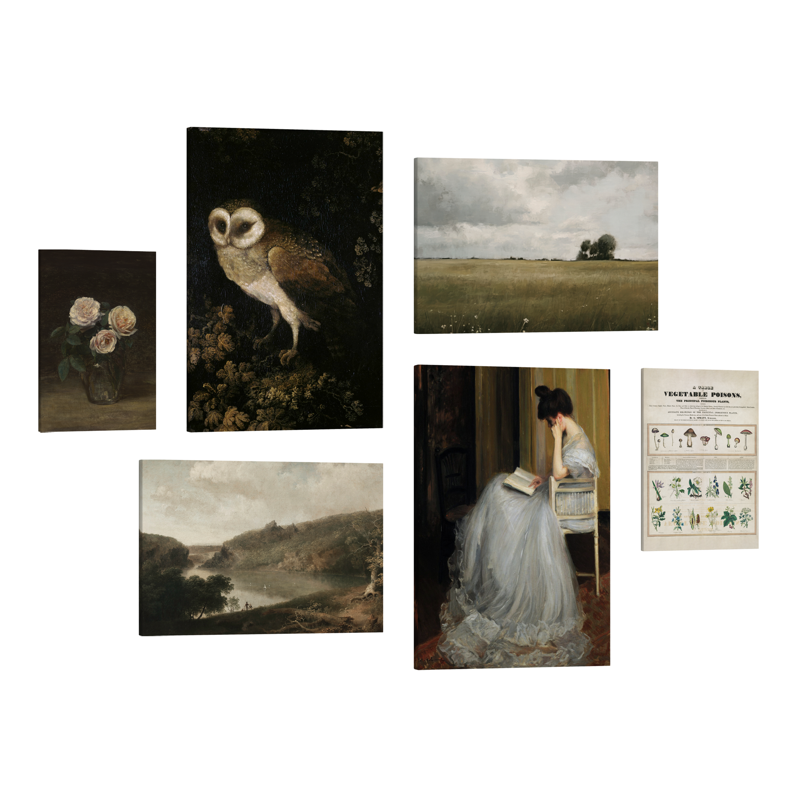 Set of 6, 2:3 easy to hang canvas prints of various sizes, 12x18”, 16x24” or 20x30” inches, on a transparent background featuring images of a chart of poisonous vegetables and dark paintings of a flower vase, owl, a lake scene, a field and a Victorian styled woman reading a book.