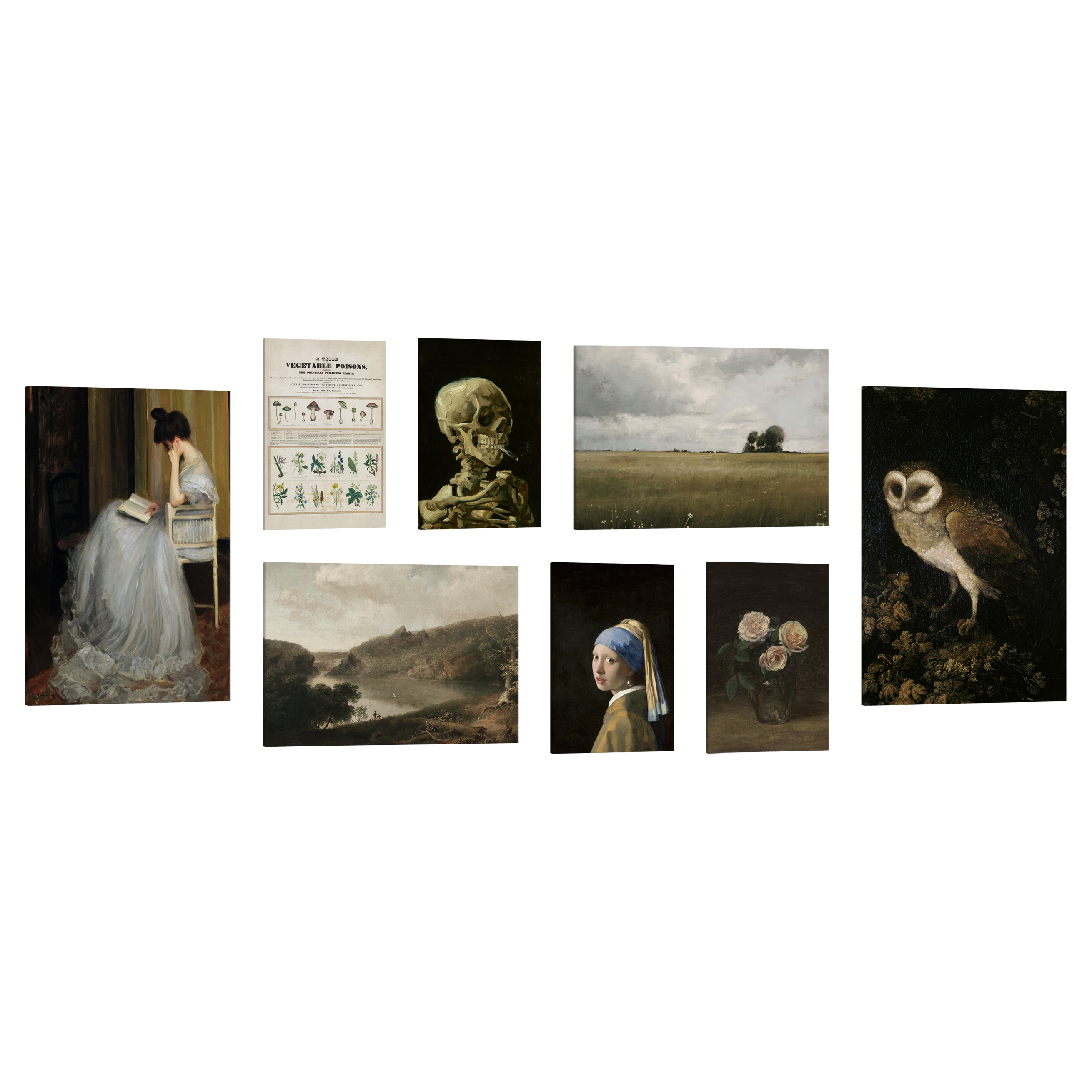 Set of 8, 2:3 easy to hang canvas prints of various sizes, 12x18”, 16x24” or 20x30” inches, on a transparent background featuring images of a chart of poisonous vegetables and dark paintings of a flower vase, owl, a lake scene, a field, Victorian styled woman reading a book, a skeleton smoking a cigarette and the famous Girl with a Pearl Earring.