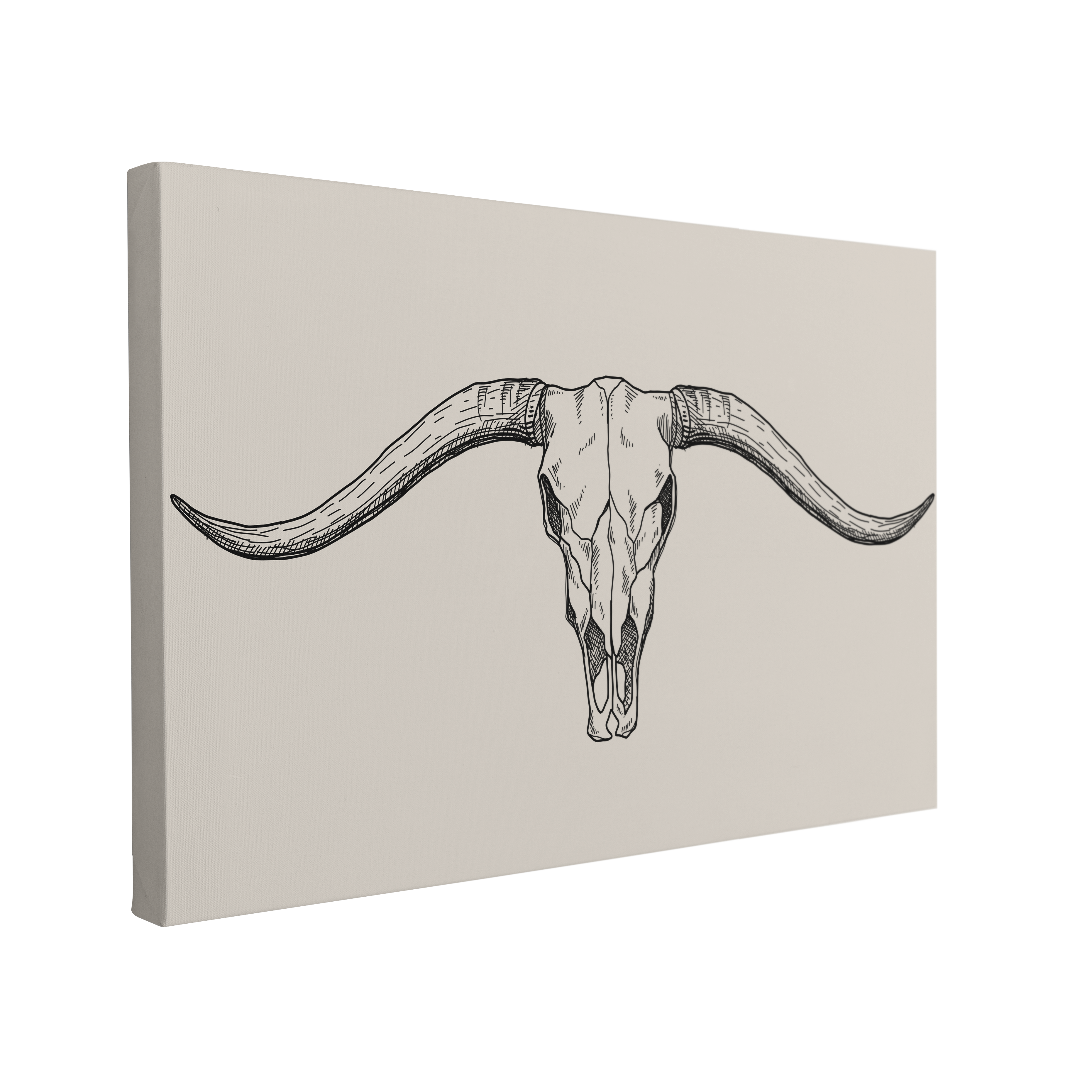 Single, 2:3 horizontal easy to hang canvas print on a transparent background featuring an image of a minimalist etching sketch of a longhorn cow skull in black and white