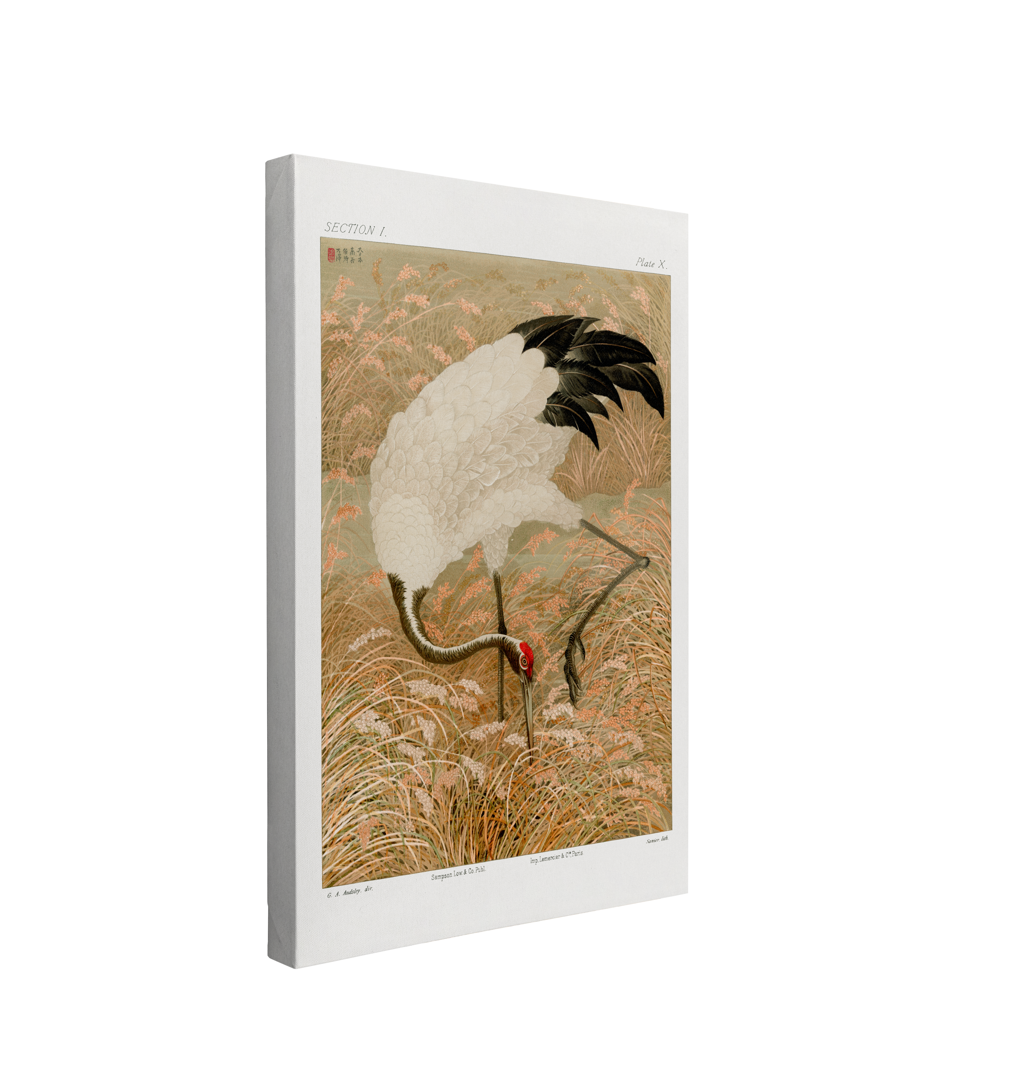 single, 2:3 vertical easy to hang canvas print on a transparent background featuring an image of a vintage japanese painting of a black and white Sarus Crane with red feathers on it's head, in a yellow rice field for a background and a light grey border