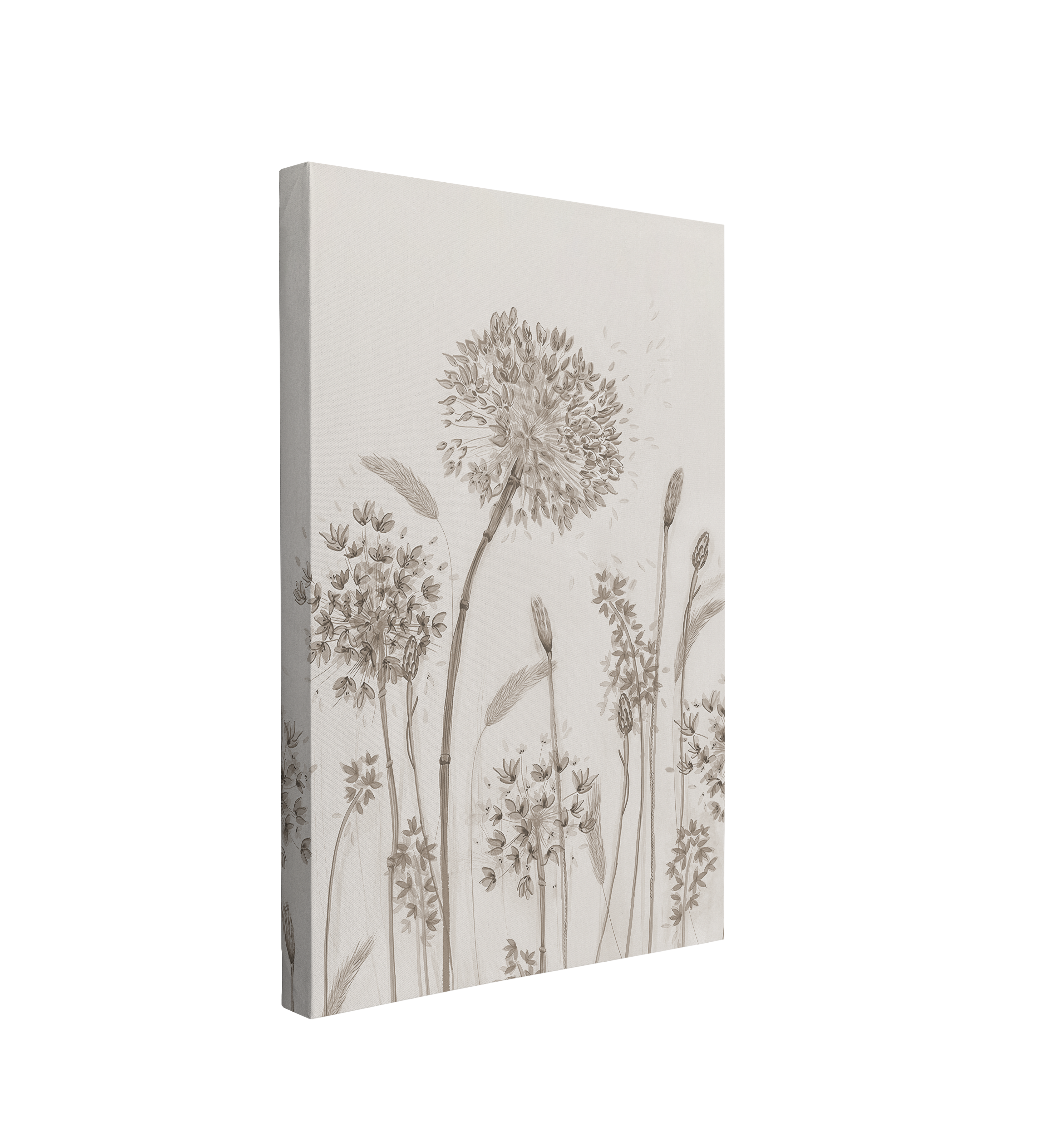 Vintage Black and White Dandelions - Canvas Print Wall Art Décor Whelhung