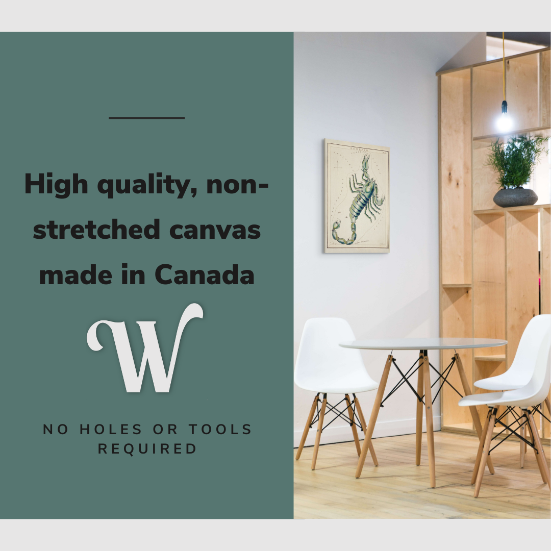 Sidney Hall’s (1831) Astronomical Chart illustration of the Scorpio - Canvas Print Wall Art Décor Whelhung