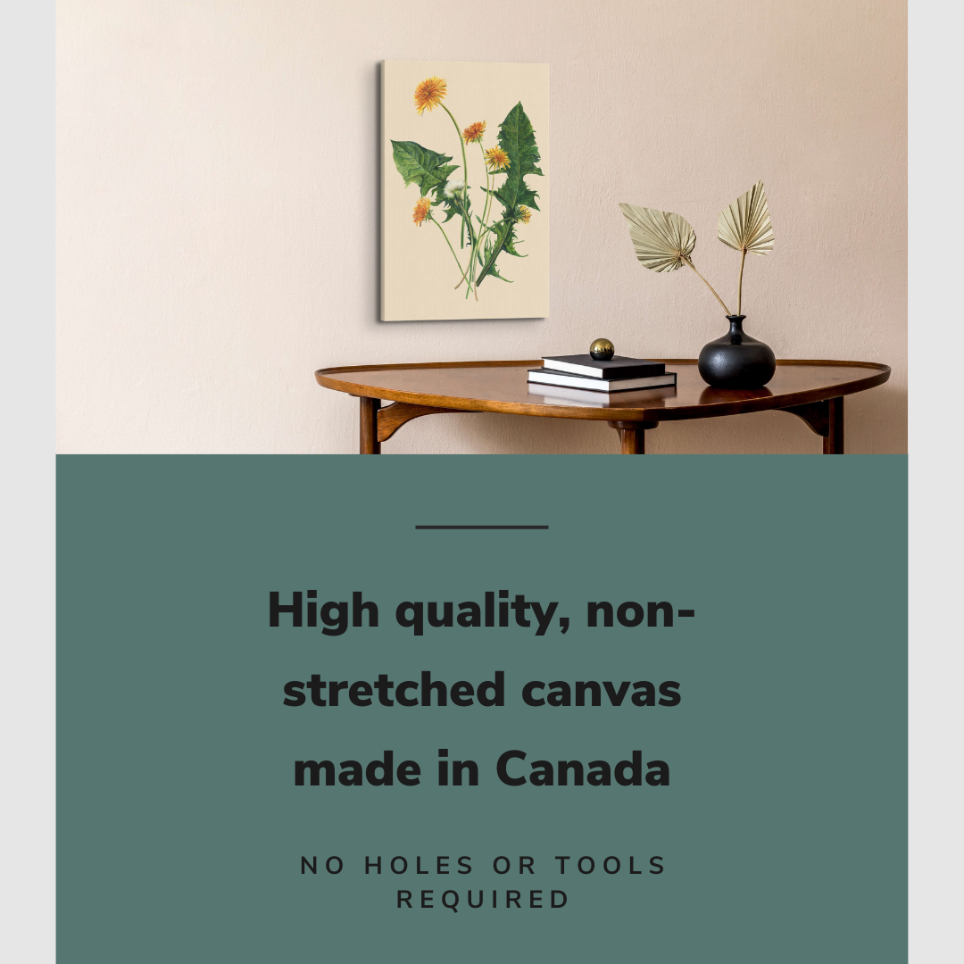 Minimalist Watercolor Dandelions - Canvas Print Wall Art Décor Whelhung