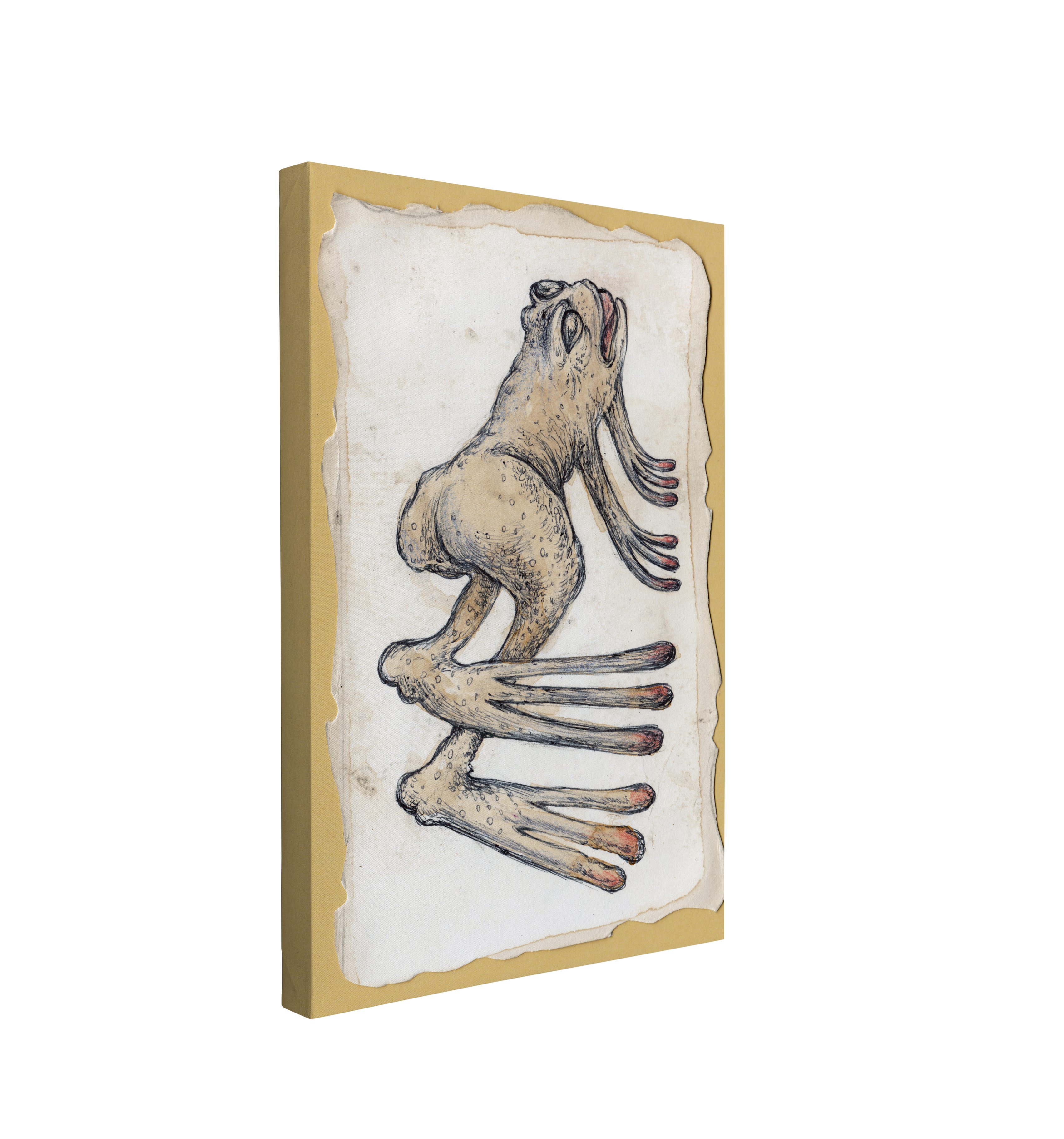 Single, 2:3 vertical easy to hang canvas print on a transparent background featuring an image of grotesque drawing of a frog with a large bum on a white paper background with a yellow border.