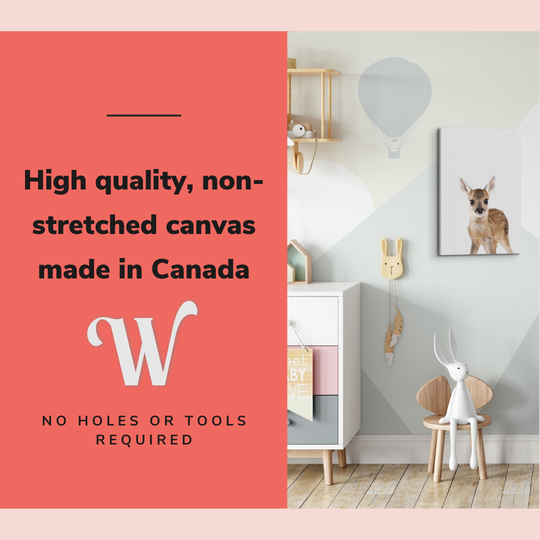 Minimalist Baby Deer - Woodland Animal Peekaboo Nursery Photography - Crystal Canvas Print Wall Art Décor Whelhung