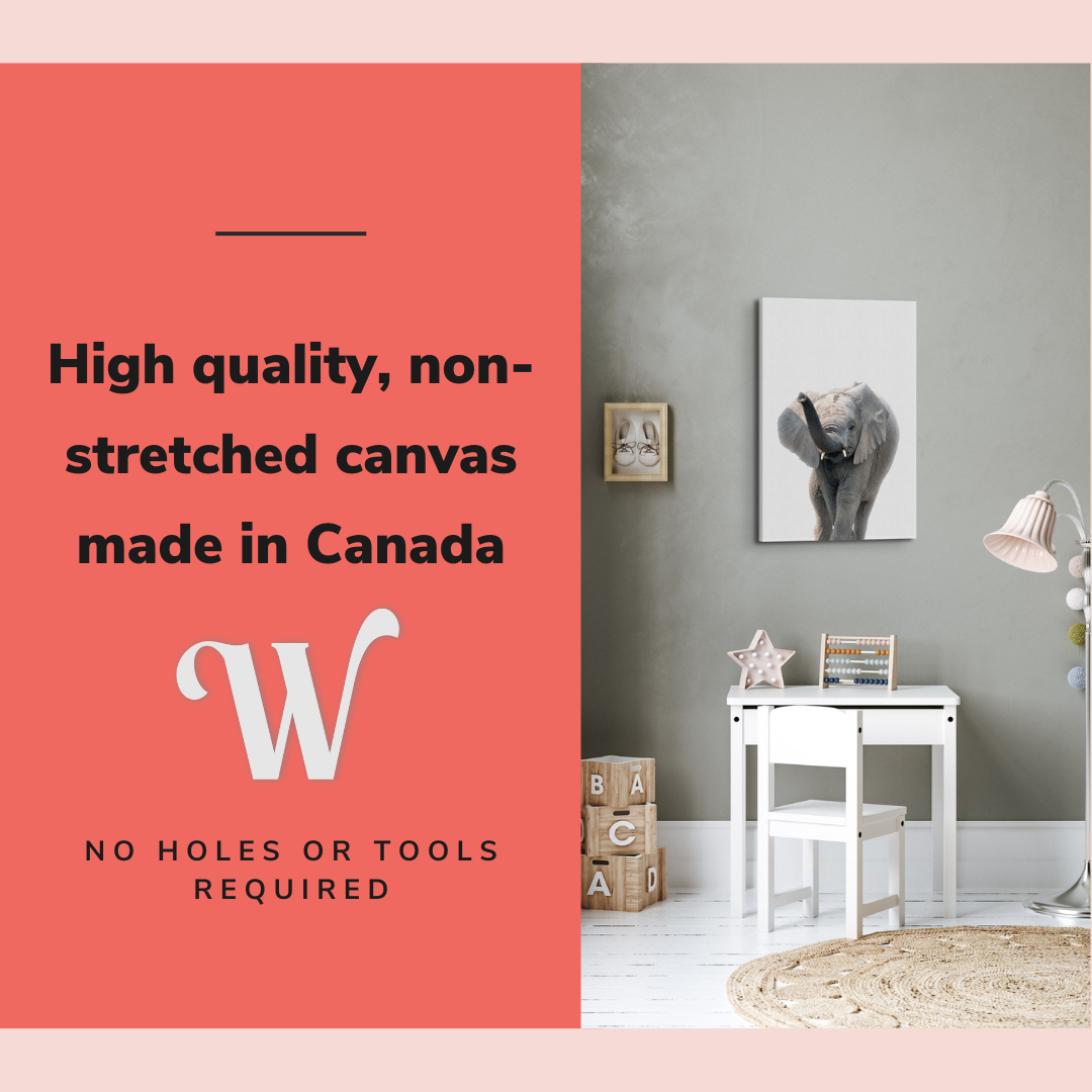 Minimalist Baby Elephant - Safari Animal Peekaboo Nursery Photography - Crystal Canvas Print Wall Art Décor Whelhung