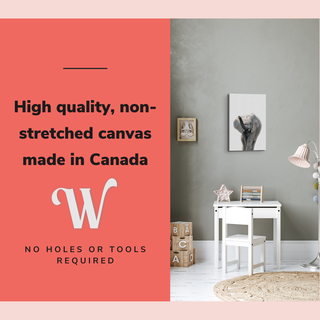 Minimalist Baby Elephant - Safari Animal Peekaboo Nursery Photography - Crystal Canvas Print Wall Art Décor Whelhung