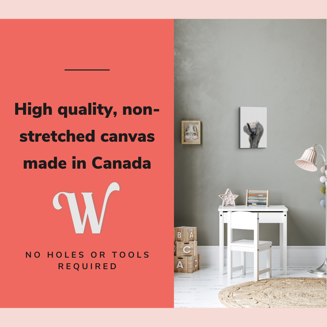 Minimalist Baby Elephant - Safari Animal Peekaboo Nursery Photography - Crystal Canvas Print Wall Art Décor Whelhung