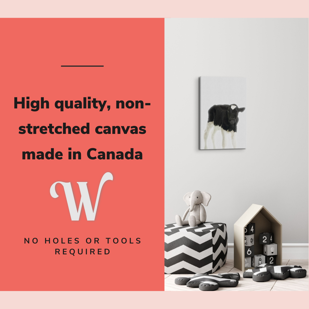 Minimalist Baby Cow - Barn Animal Peekaboo Farmhouse Nursery Photography - Crystal Canvas Print Wall Art Décor Whelhung