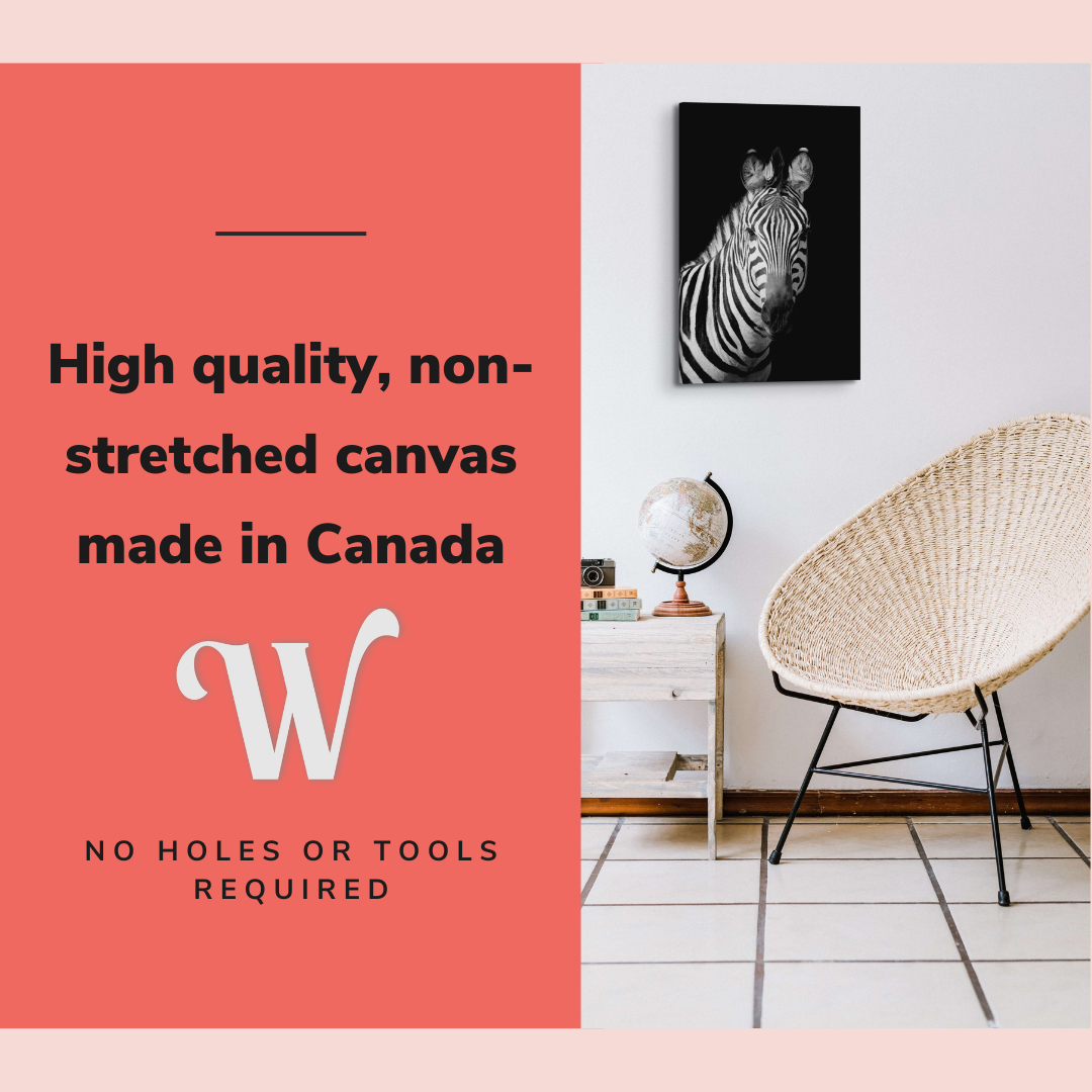 Black and White Zebra - Animal Photography - Crystal Canvas Print Wall Art Décor Whelhung