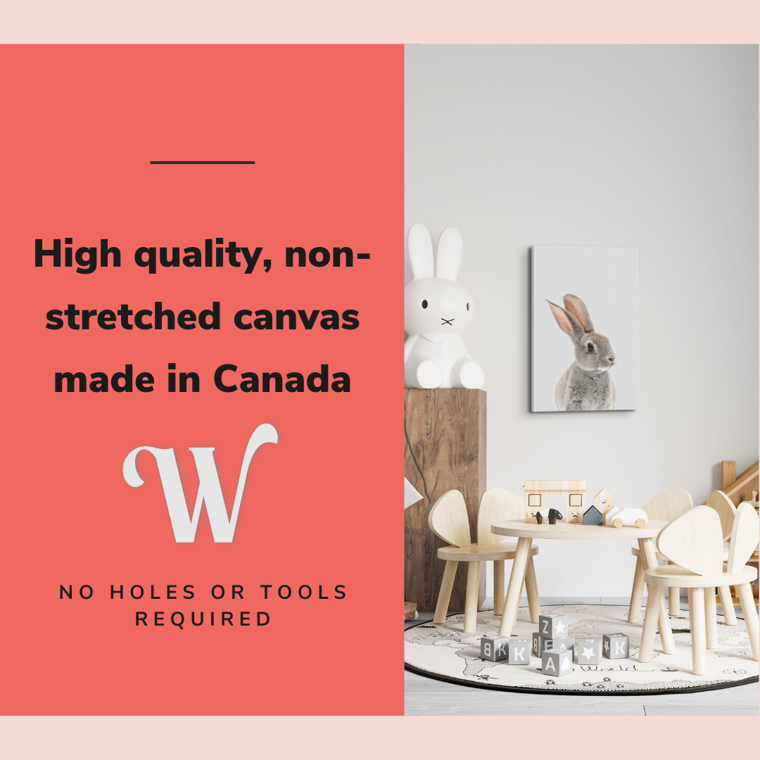 Minimalist Baby Bunny - Woodland Animal Peekaboo Nursery Photography - Crystal Canvas Print Wall Art Décor Whelhung