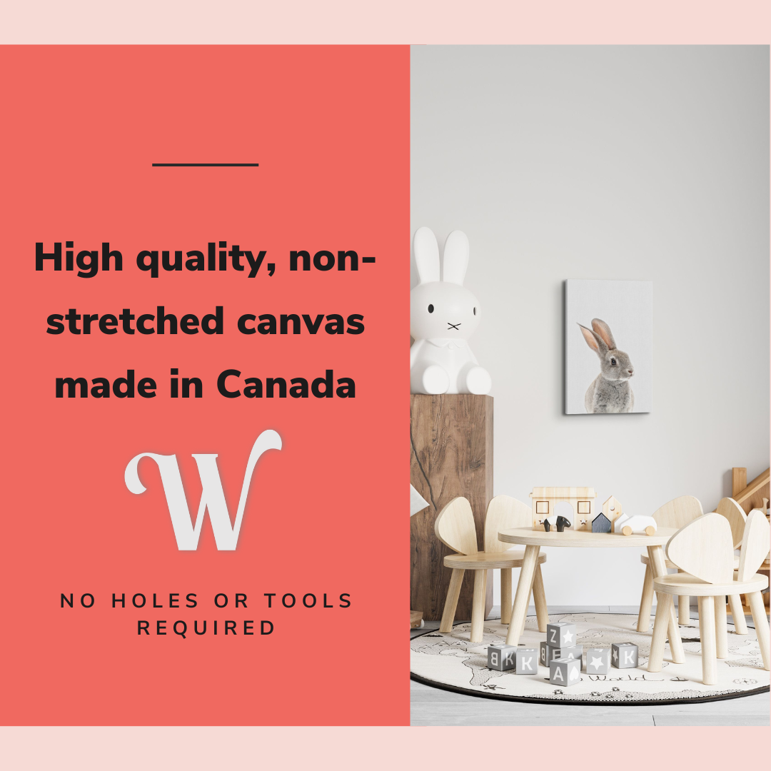 Minimalist Baby Bunny - Woodland Animal Peekaboo Nursery Photography - Crystal Canvas Print Wall Art Décor Whelhung