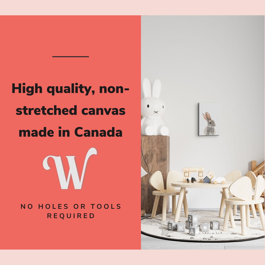 Minimalist Baby Bunny - Woodland Animal Peekaboo Nursery Photography - Crystal Canvas Print Wall Art Décor Whelhung