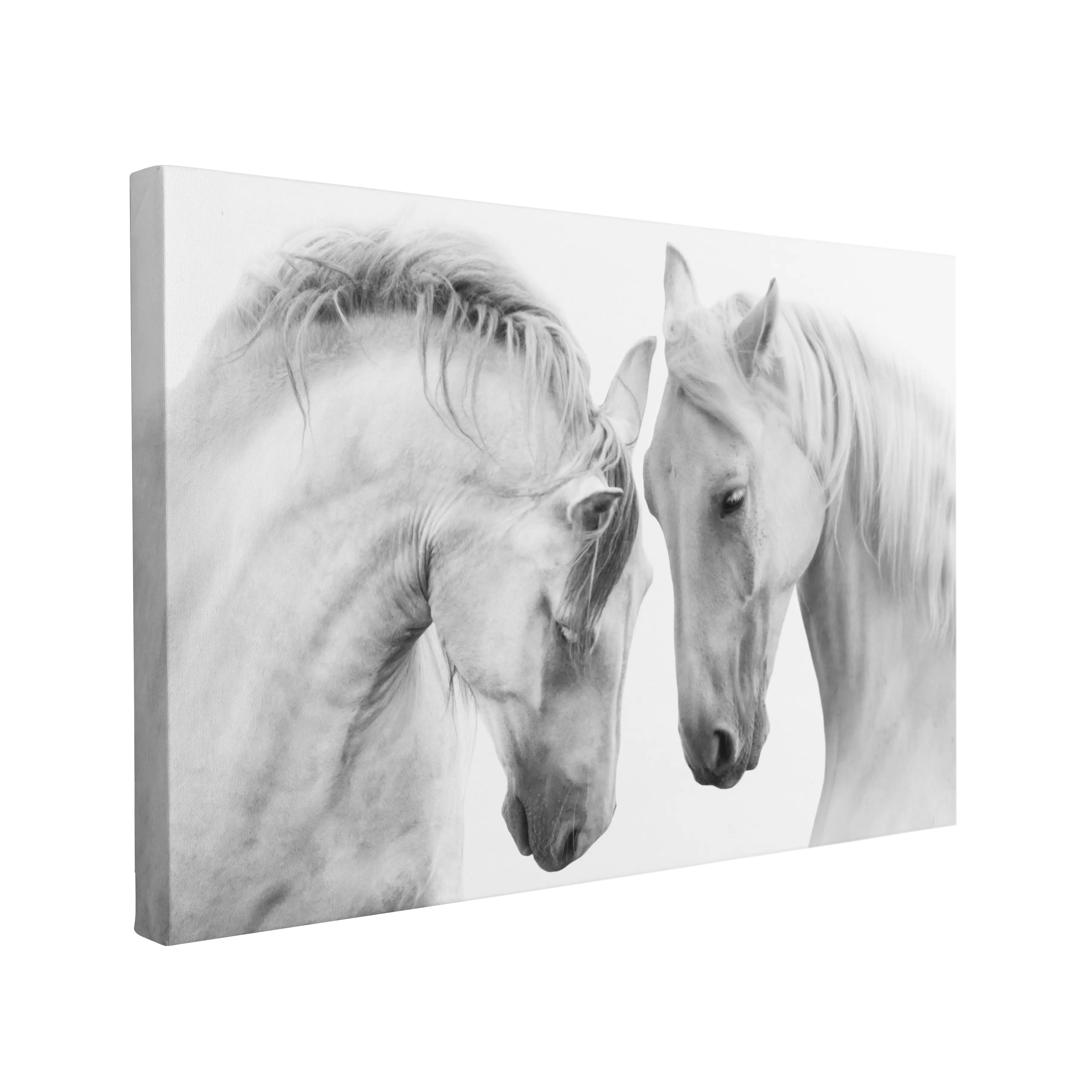 Two White Horses Photography - Canvas Print Wall Art Décor Whelhung