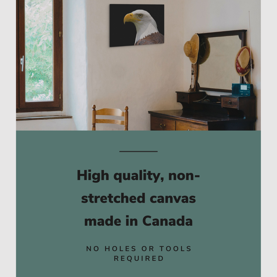 Bald Eagle Patriotic Photography - Canvas Print Wall Art Décor Whelhung