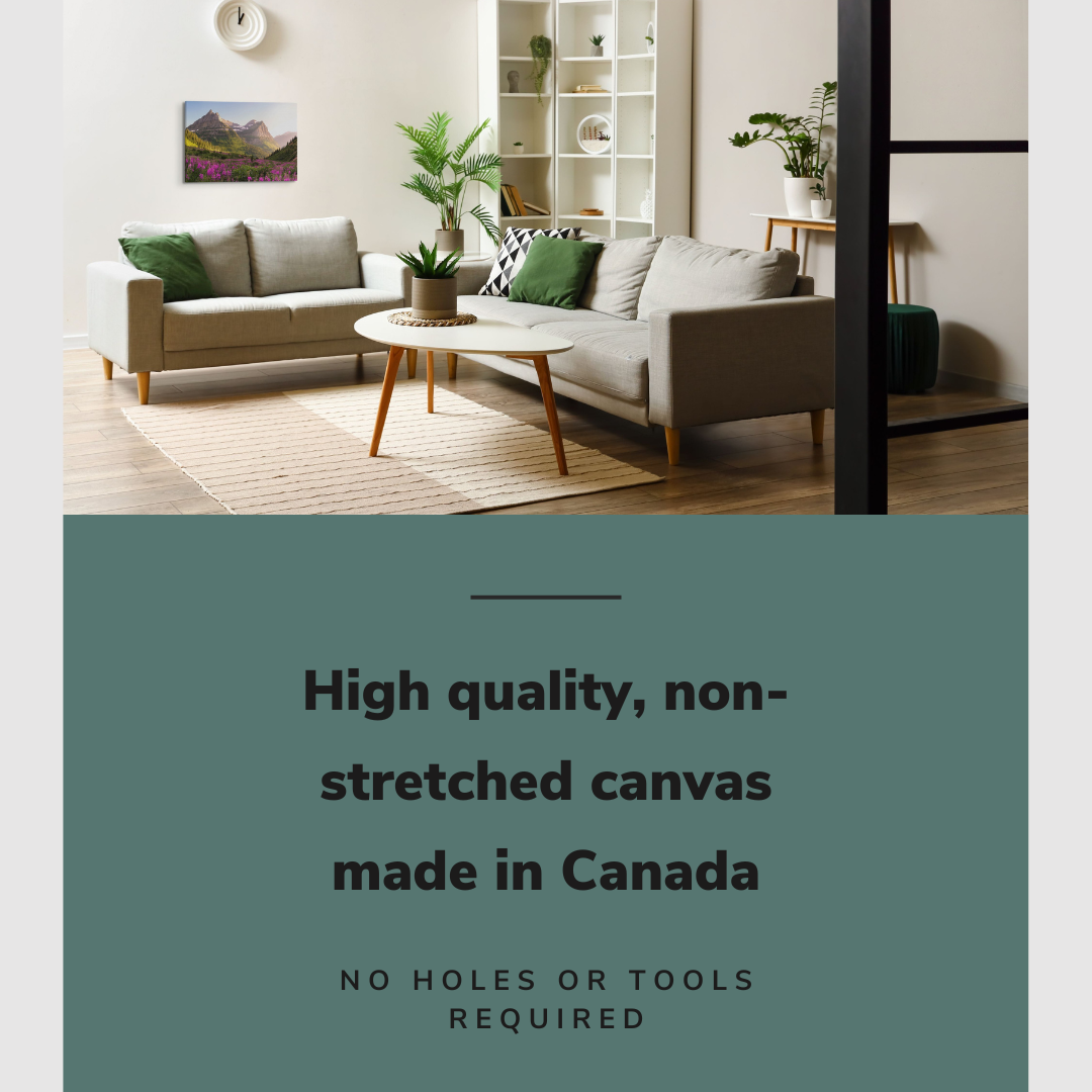 Glacier National Park, British Columbia, Canada Photography - Canvas Print Wall Art Décor Whelhung