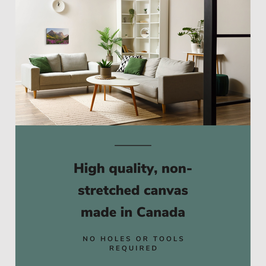 Glacier National Park, British Columbia, Canada Photography - Canvas Print Wall Art Décor Whelhung