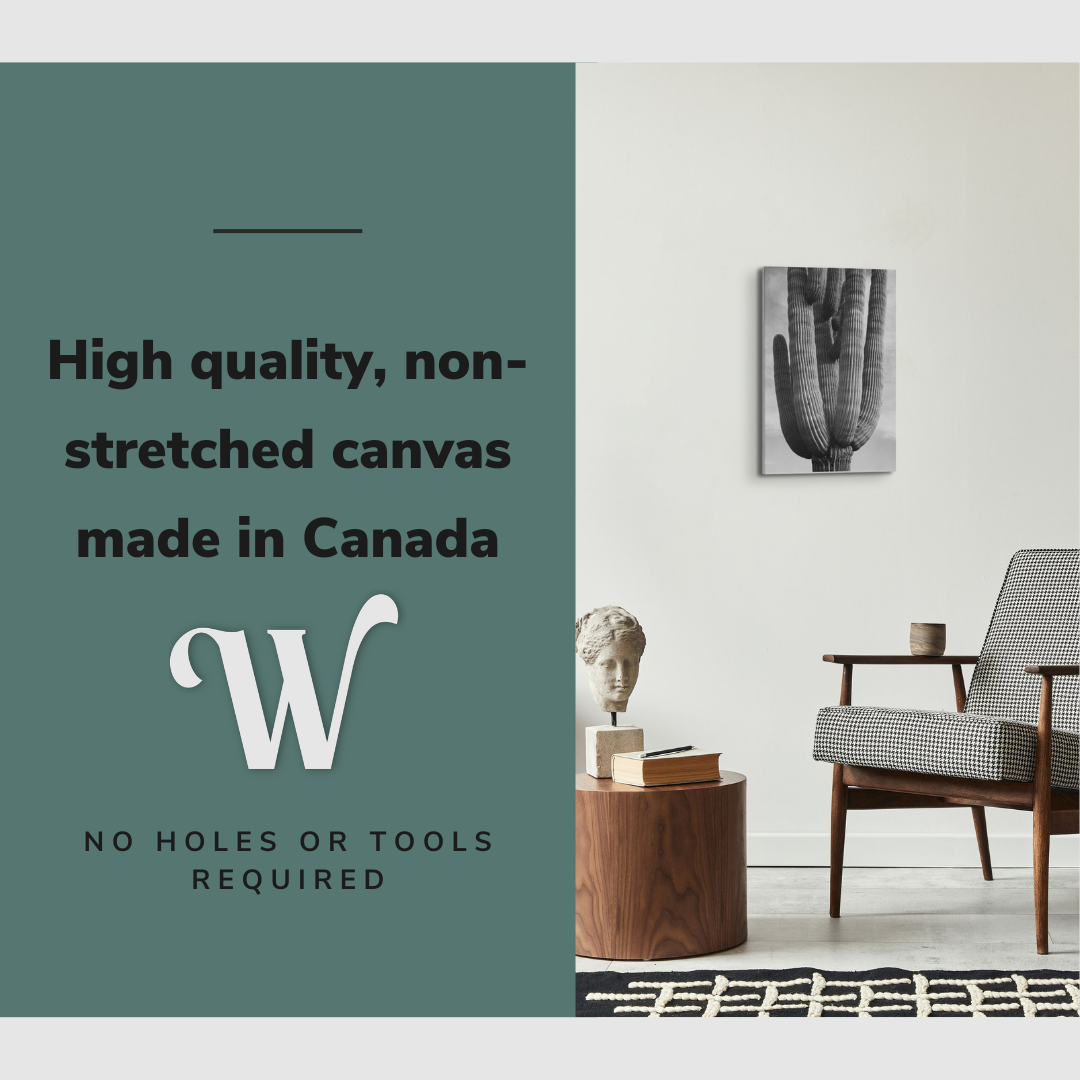 Black and White Saguaro Cactus Photography - Canvas Print Wall Art Décor Whelhung