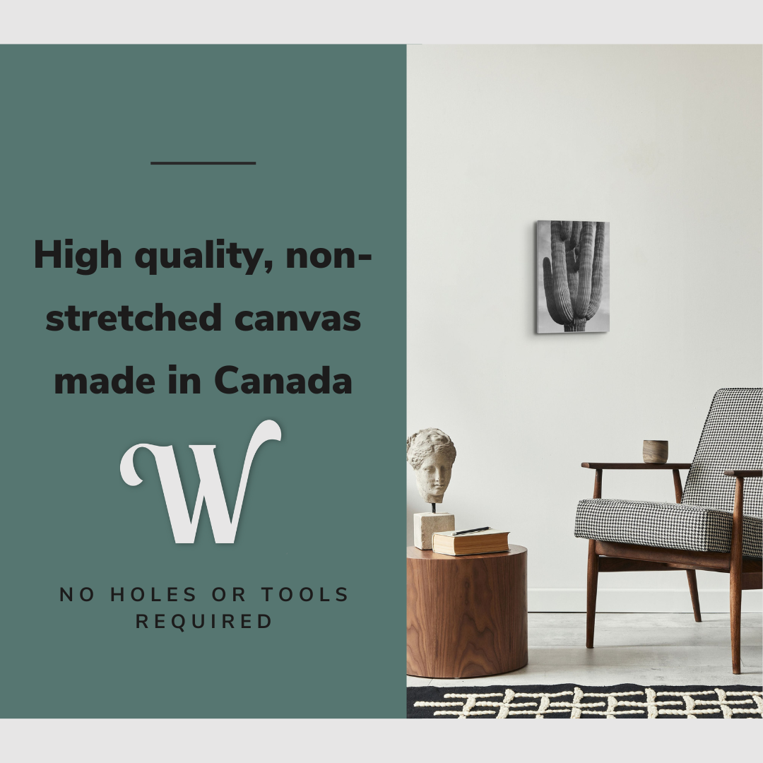 Black and White Saguaro Cactus Photography - Canvas Print Wall Art Décor Whelhung