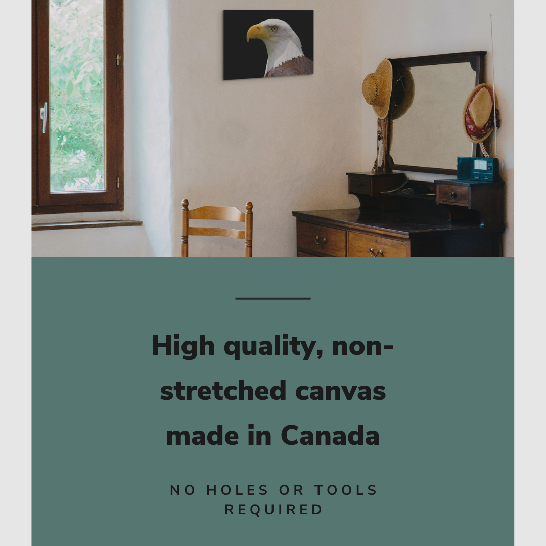 Bald Eagle Patriotic Photography - Canvas Print Wall Art Décor Whelhung