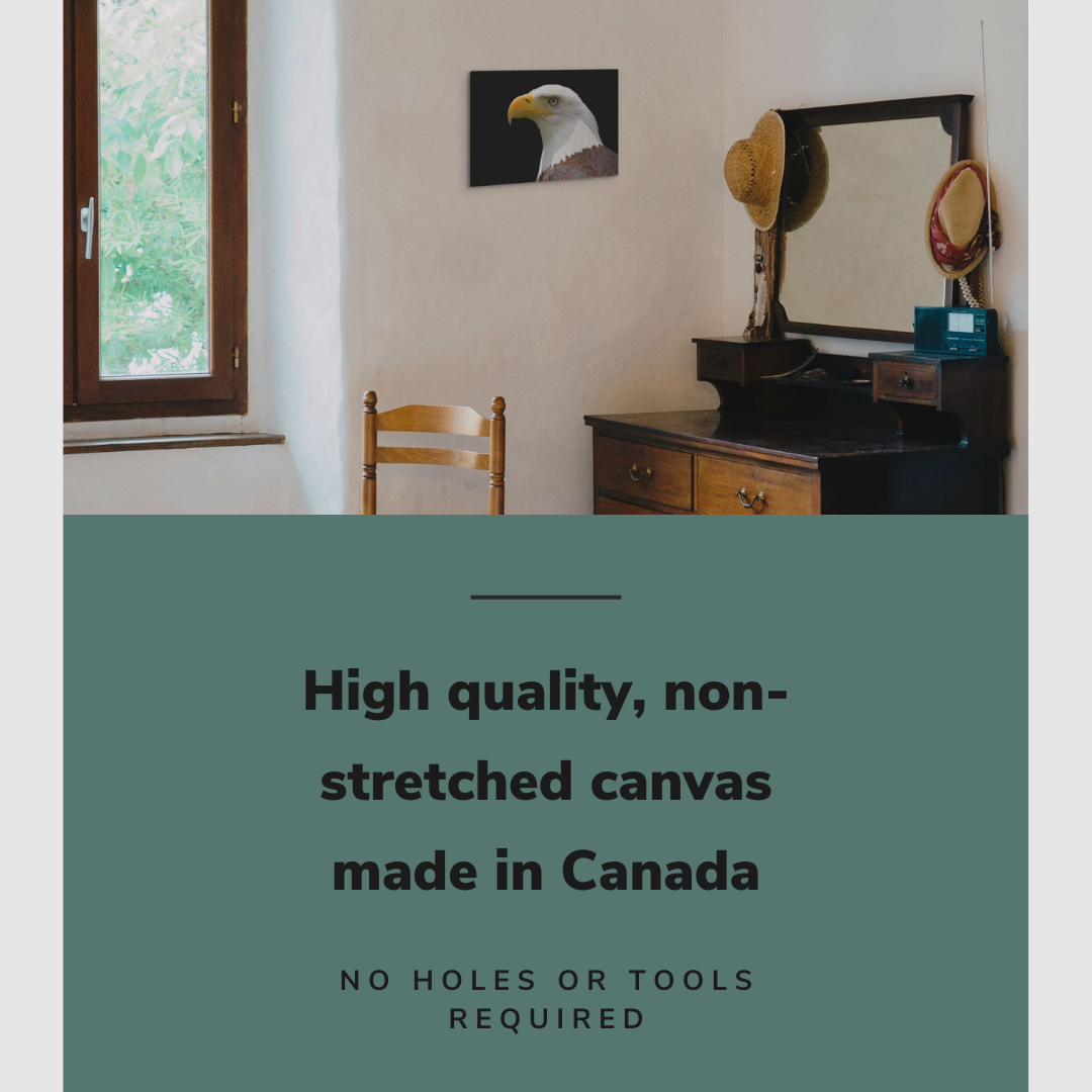 Bald Eagle Patriotic Photography - Canvas Print Wall Art Décor Whelhung