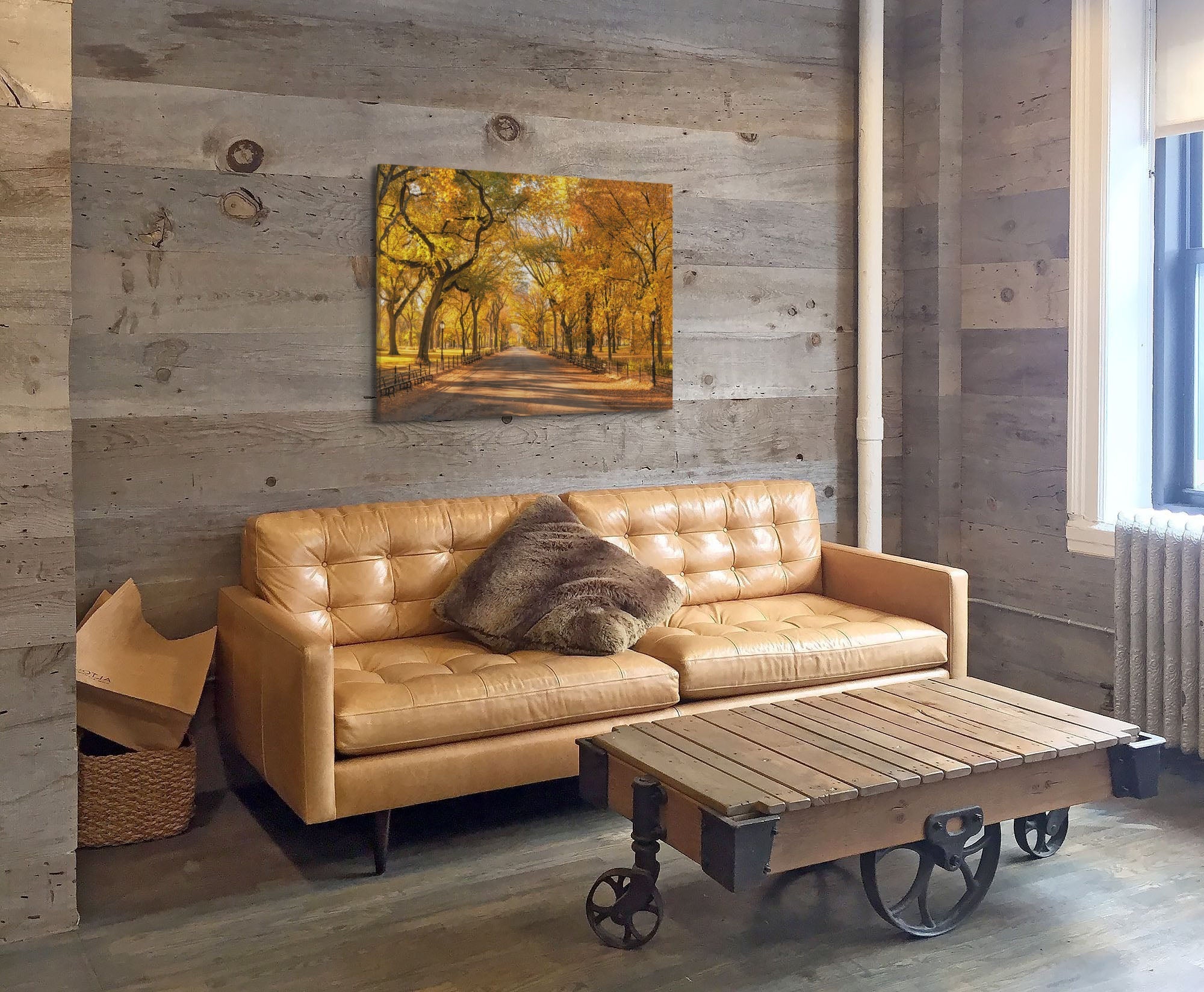 A horizontal, easy to hang canvas print, featuring an autumn landscape scene in a park, hung above a couch in a living room.