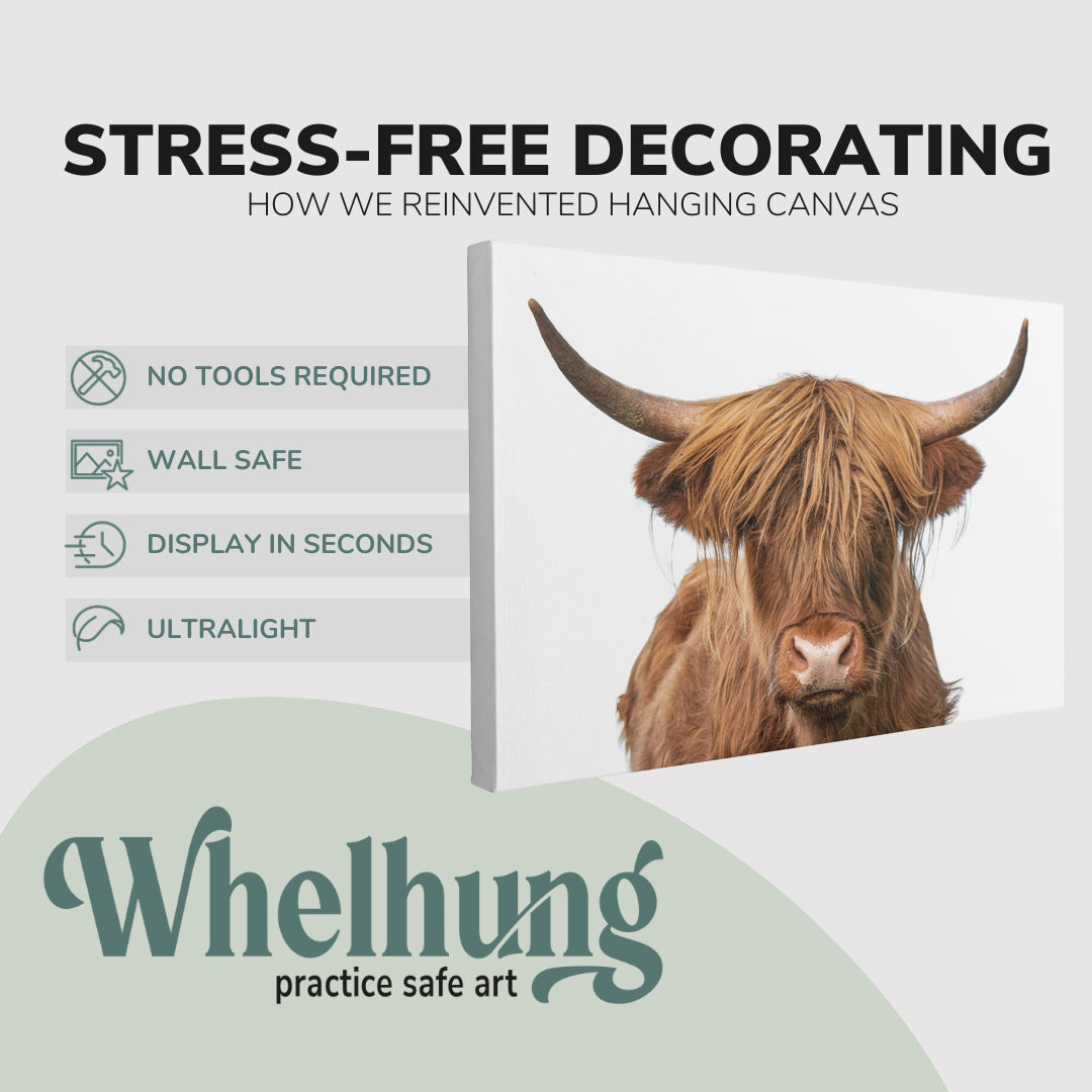 Highland Cow Photography - Canvas Print Wall Art Décor Whelhung