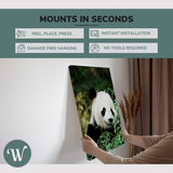 Giant Panda Portrait Photography - Canvas Print Wall Art Décor Whelhung