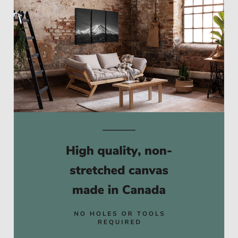 Lifestyle image of the vertical, 24x48 inch easy to hang canvas wall art hung in a living room above a couch and coffee table with graphic saying "High quality, non-stretched canvas made in Canada"