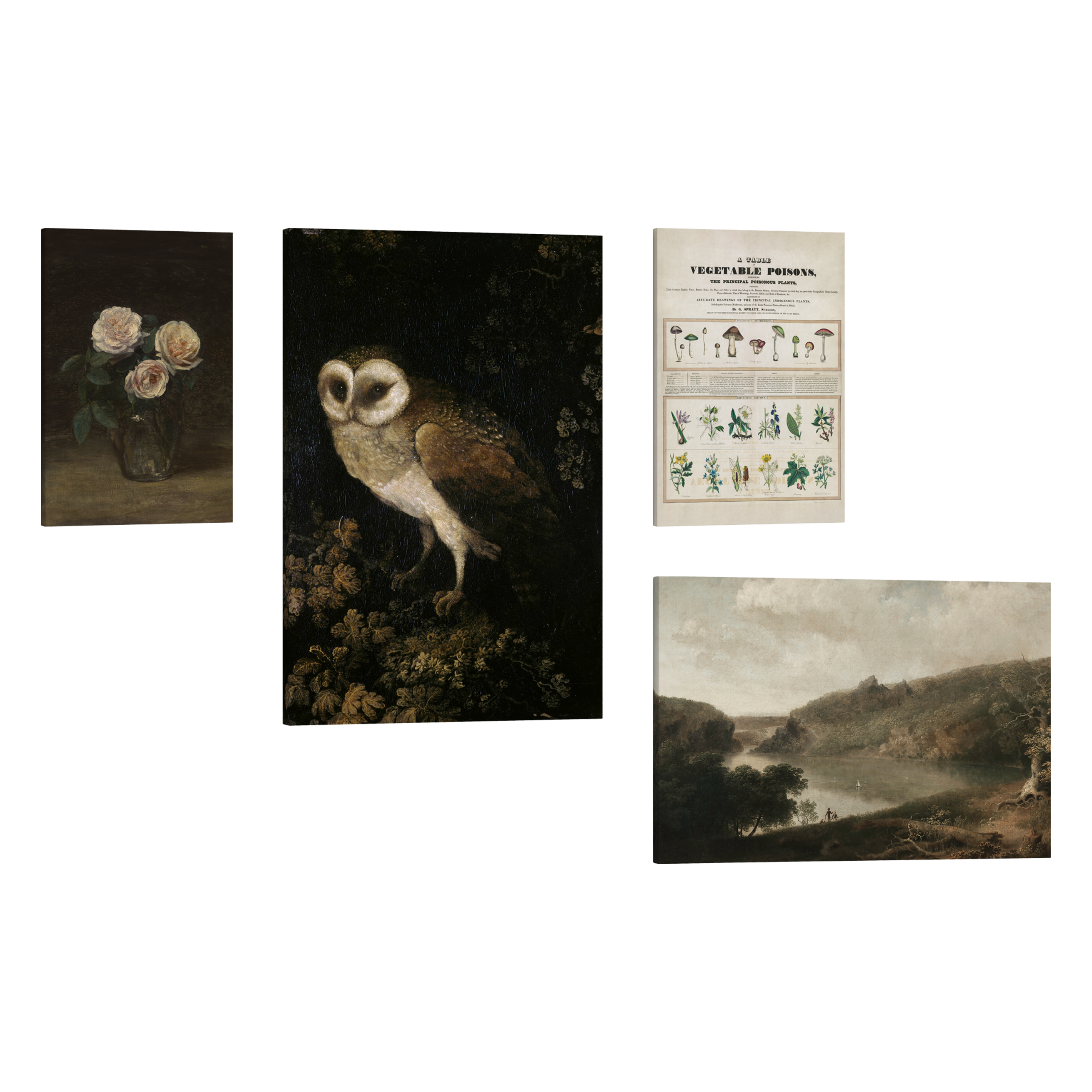 Set of 4, 2:3 easy to hang canvas prints of various sizes, 12x18”, 16x24” or 20x30” inches, on a transparent background featuring images of a chart of poisonous vegetables and dark paintings of a flower vase, owl and a lake scene.