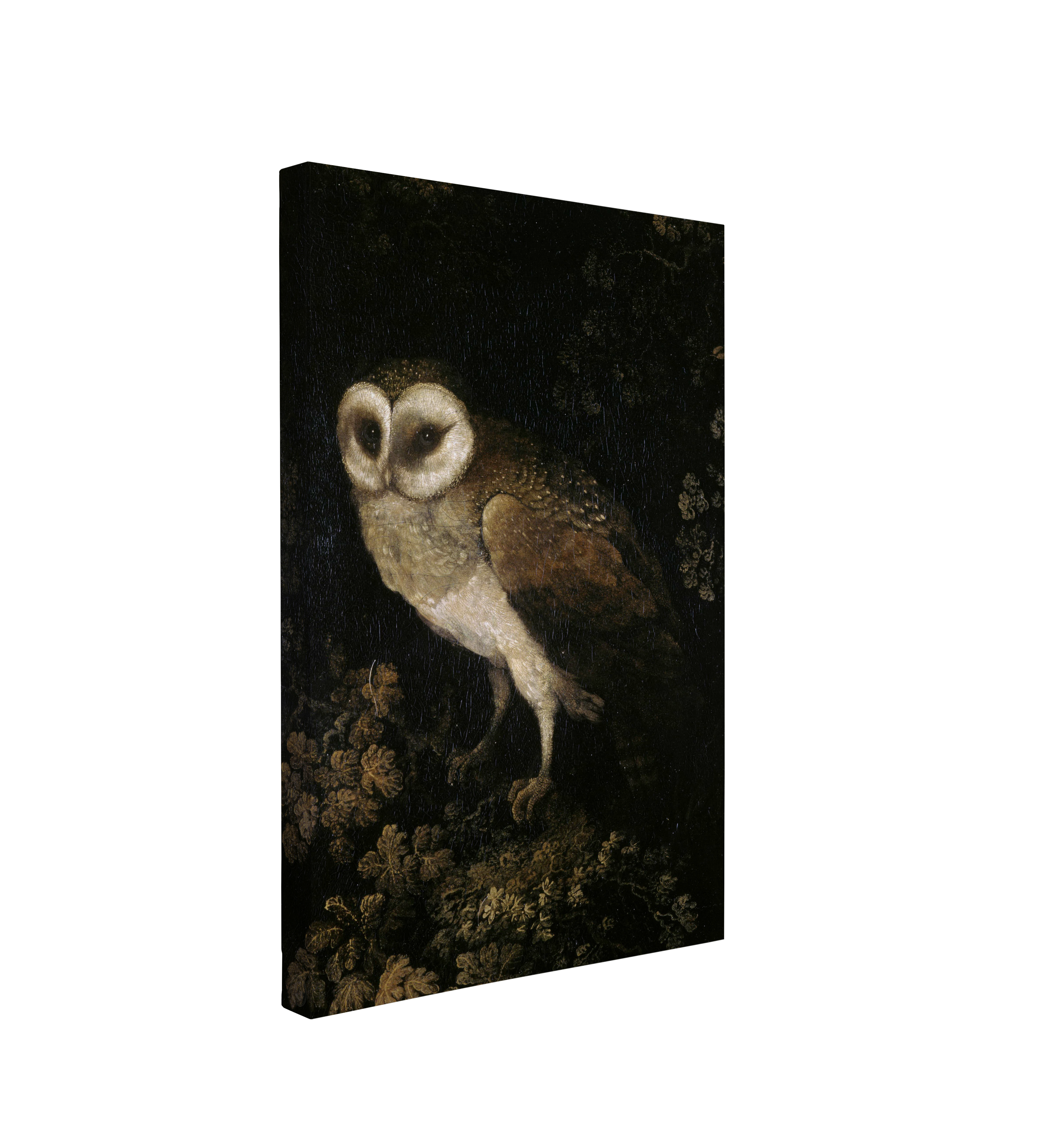 Dark Moody An Owl (c. 1780-90) by Moses Haughton - Vintage Dark Academia, Whimsical Victorian Whelhung