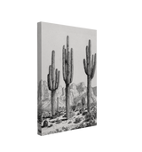 Desert Sentinels, Apache Trail, Arizona (c. 1930) by George Elbert Burr, Vintage Southwestern Art - Canvas Print Wall Art Décor Whelhung