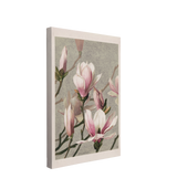 single, 2:3 vertical easy to hang canvas print on a transparent background featuring an image of a soft painting of a pink Magnolia blossoms on a light blue background with a white border