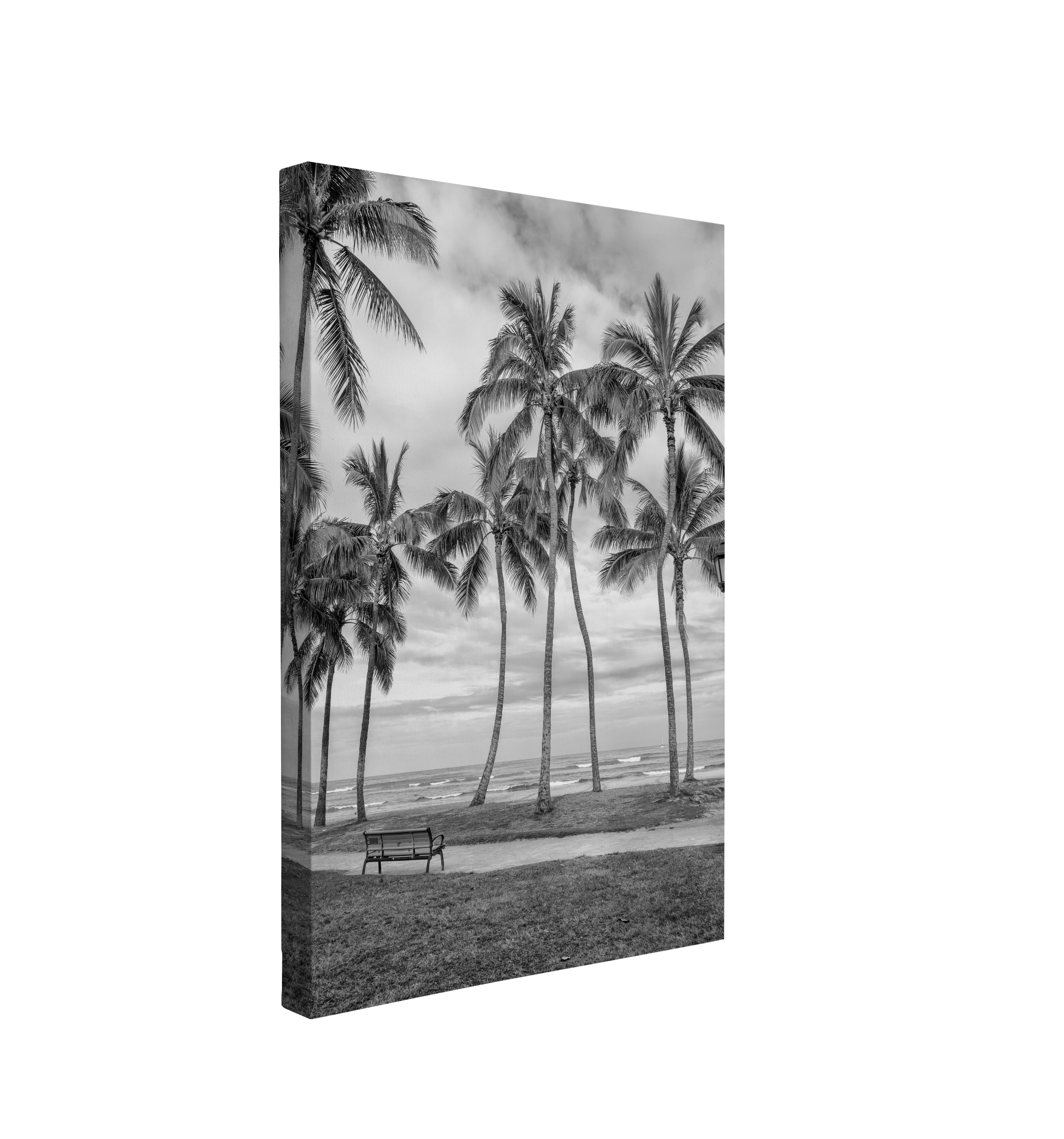 Black and White Hawaiian Coconut Palm Trees on a Beach Photography - Canvas Print Wall Art Décor Whelhung