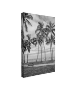 Black and White Hawaiian Coconut Palm Trees on a Beach Photography - Canvas Print Wall Art Décor Whelhung
