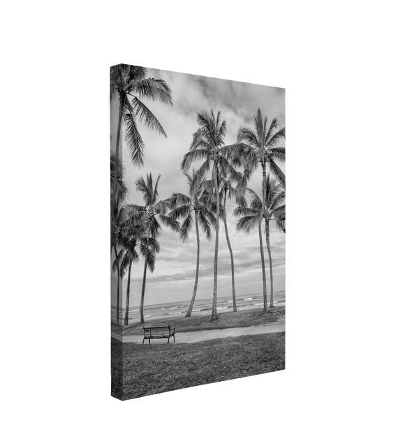 Black and White Hawaiian Coconut Palm Trees on a Beach Photography - Canvas Print Wall Art Décor Whelhung