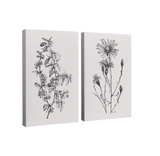 2 Panel, 2:3 vertical easy to hang canvas print on a transparent background featuring an image of two different wildflowers sketched in black grey on a light grey background