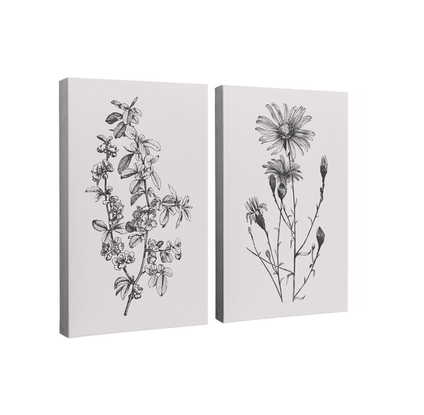 2 Panel, 2:3 vertical easy to hang canvas print on a transparent background featuring an image of two different wildflowers sketched in black grey on a light grey background