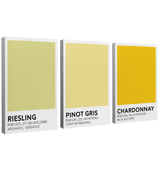 White Wine Color Swatch 3 Panel - Canvas Print Wall Art Décor Whelhung