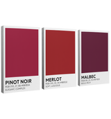 Red Wine Color Swatch 3 Panel - Canvas Print Wall Art Décor Whelhung