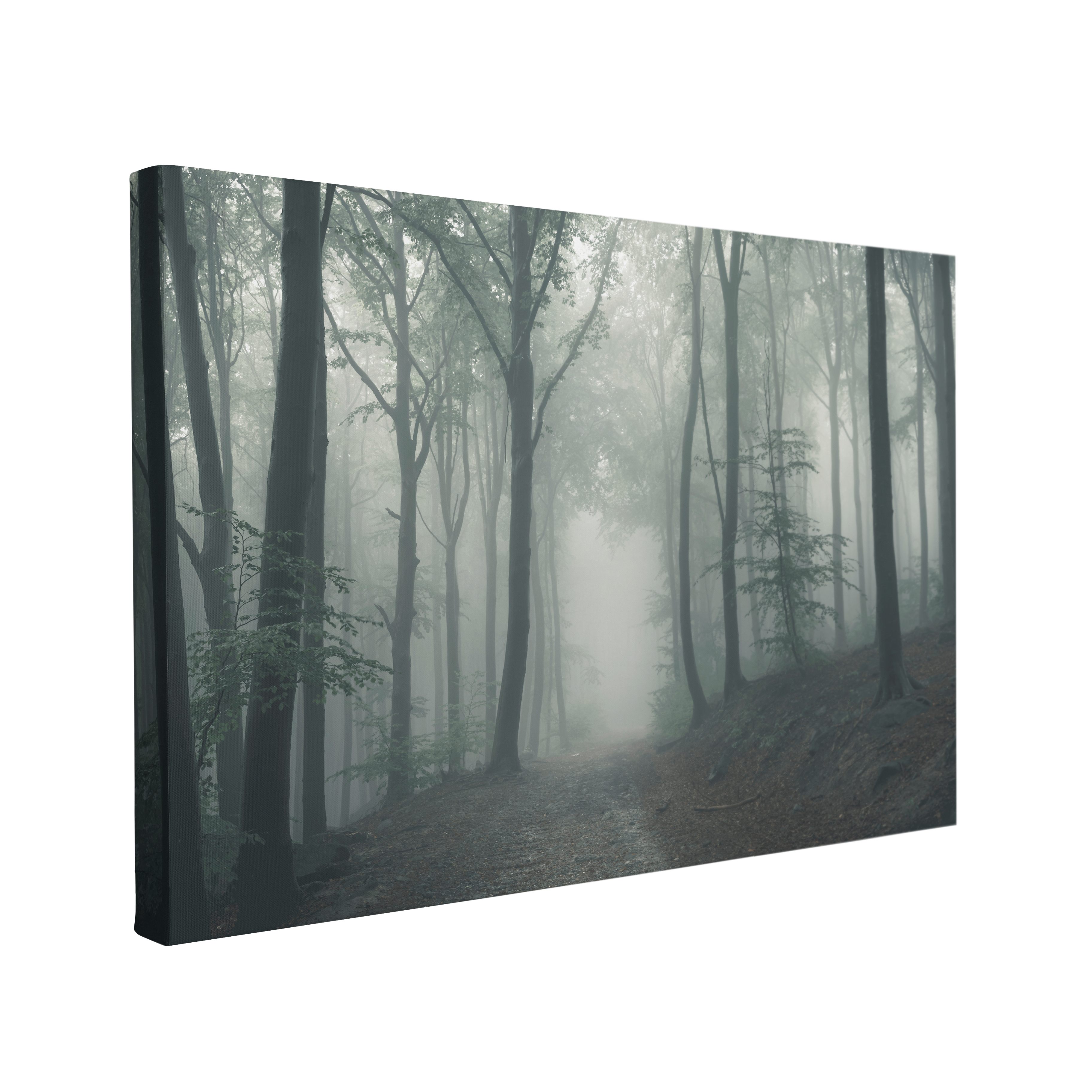 Misty and Moody Pine Forest Photography - Canvas Print Wall Art Décor Whelhung