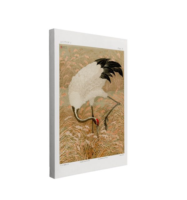 single, 2:3 vertical easy to hang canvas print on a transparent background featuring an image of a vintage japanese painting of a black and white Sarus Crane with red feathers on it's head, in a yellow rice field for a background and a light grey border