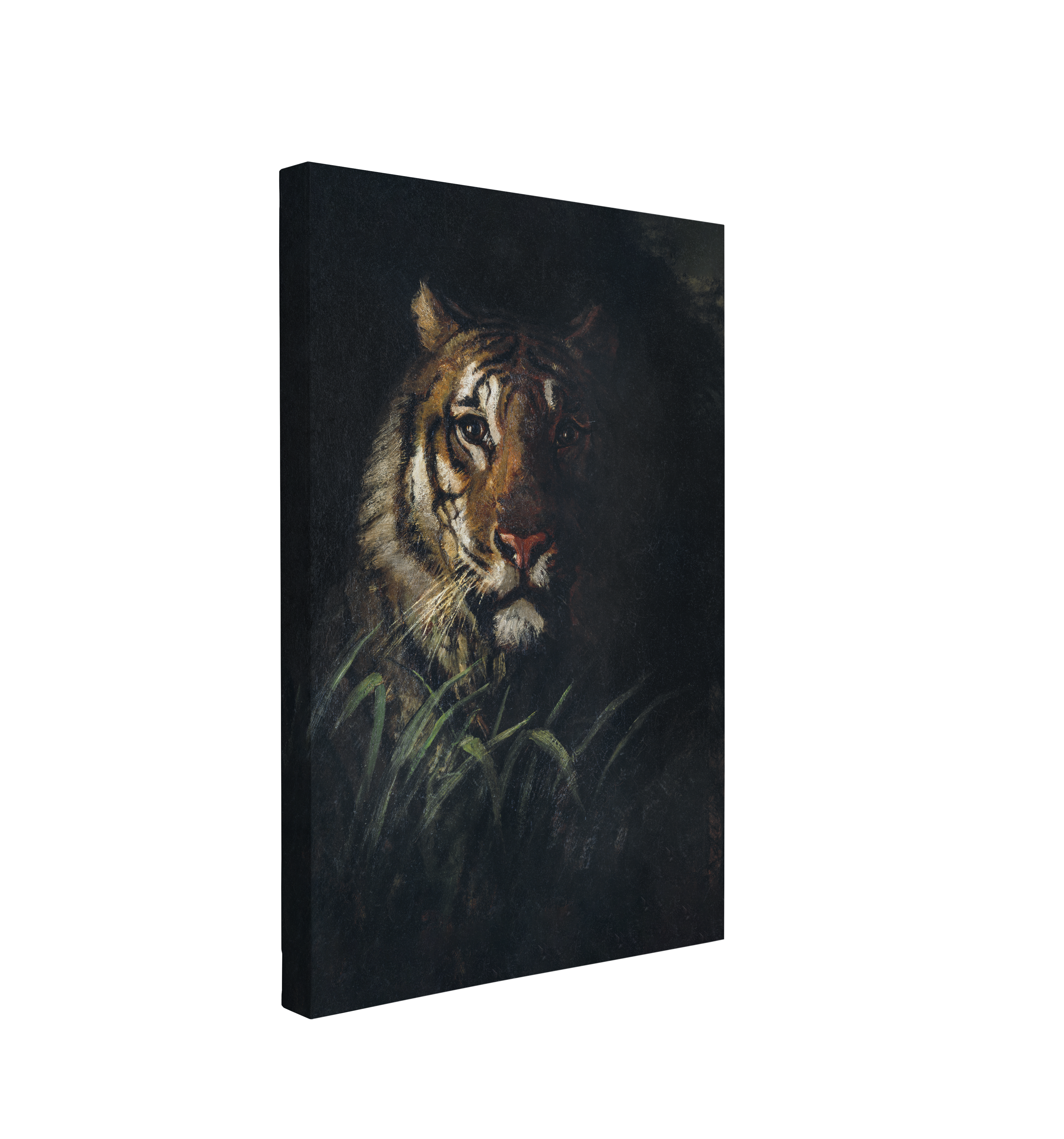 single, 2:3 vertical easy to hang canvas print on a transparent background featuring an image of a painting of a Tiger's head in a dark academia style on a black background