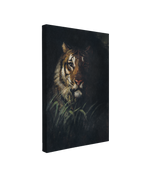 single, 2:3 vertical easy to hang canvas print on a transparent background featuring an image of a painting of a Tiger's head in a dark academia style on a black background