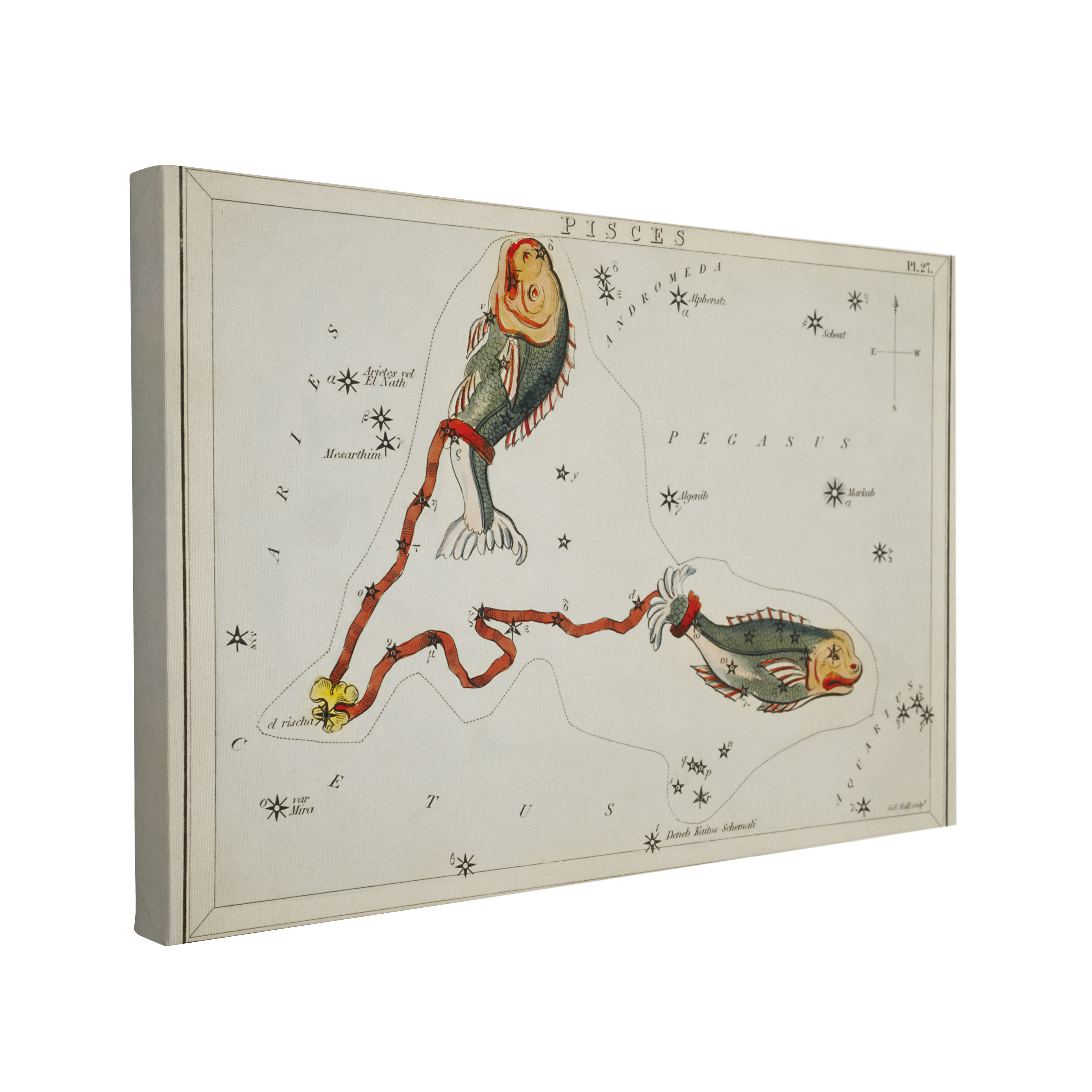 Sidney Hall’s (1831) Astronomical Chart illustration of the Pisces - Canvas Print Wall Art Décor Whelhung