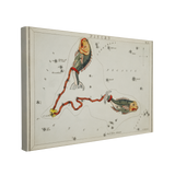 Sidney Hall’s (1831) Astronomical Chart illustration of the Pisces - Canvas Print Wall Art Décor Whelhung