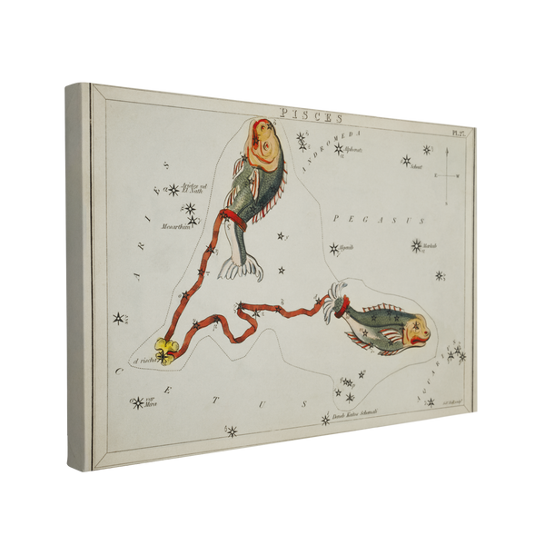 Sidney Hall’s (1831) Astronomical Chart illustration of the Pisces - Canvas Print Wall Art Décor Whelhung