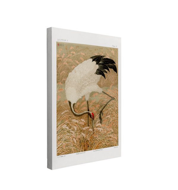 Sarus Crane in Rice Field (1884) Vintage Japanese Animal Painting, by G.A. Audsley - Canvas Print Wall Art Décor Whelhung